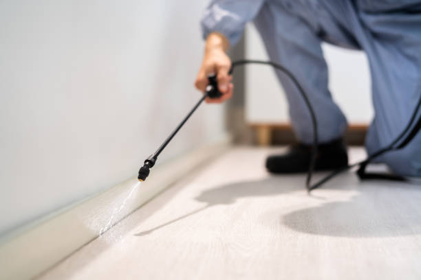 Licensed Pest Control service in Kingston, NY - Show Me Pest Control
